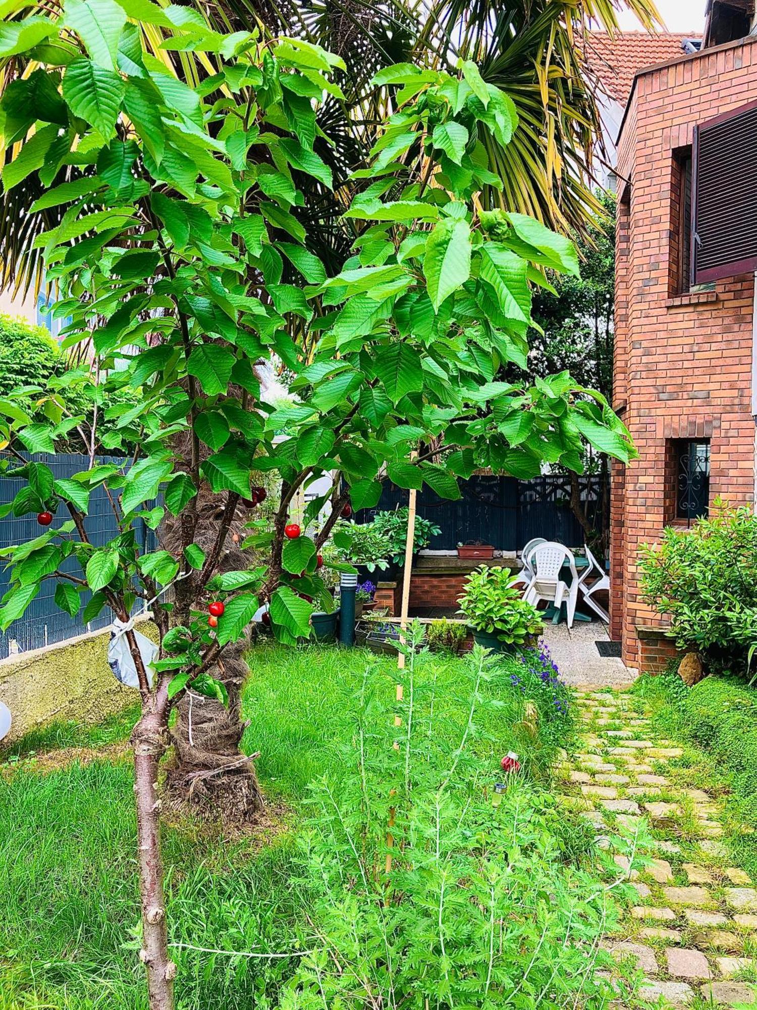 Le Jardin Paris Bed and Breakfast Ivry-sur-Seine Buitenkant foto